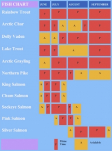 fly fishing for salmon, char, Dolly Varden, Grayling