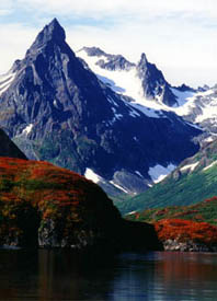 fly fishing for Trout and Salmon in Alaska